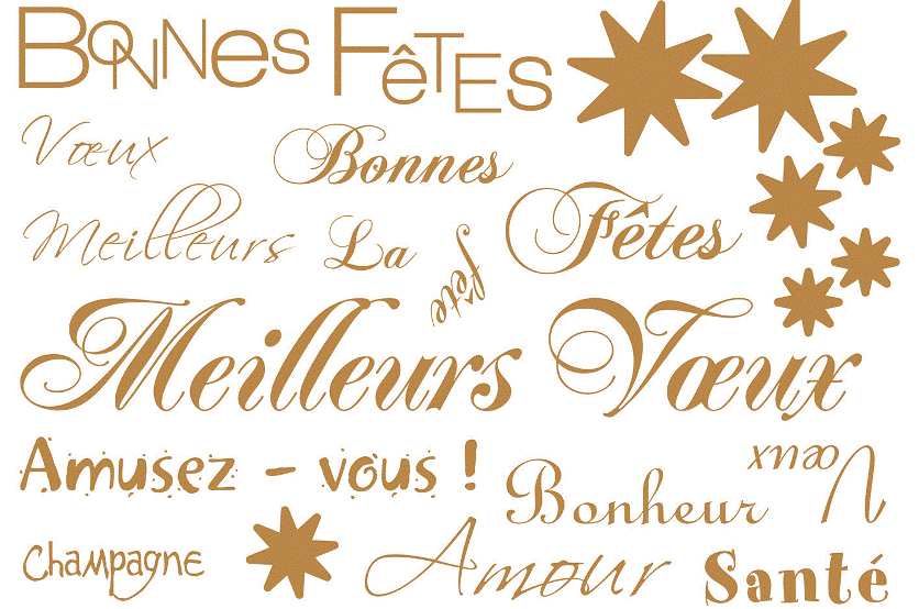 Voeux 2015